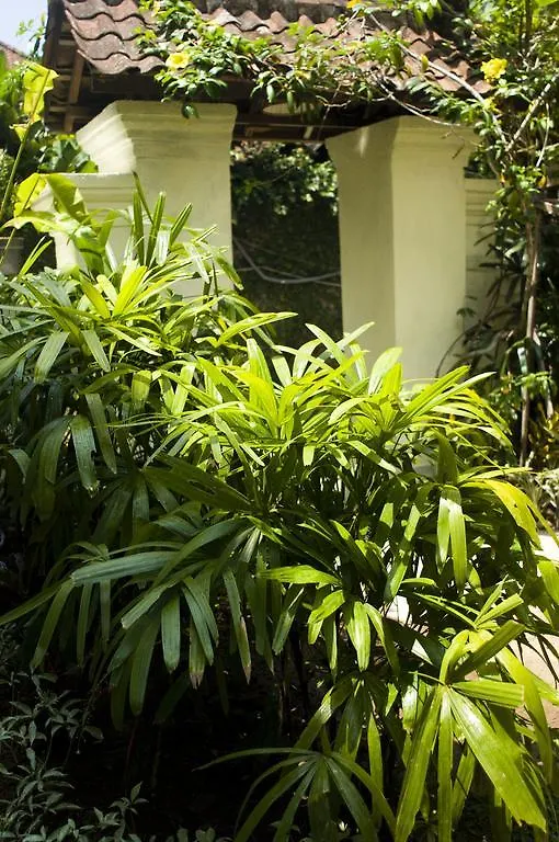 Nani House 2 Hotel Ubud 2*,